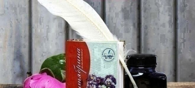 Прошел 12й областной литературно-музыкальный фестиваль «Сентябрина»