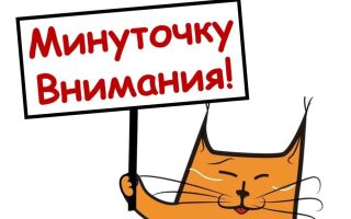 «ФЕСТИВАЛЬ УЛИЧНЫХ ИСКУССТВ»