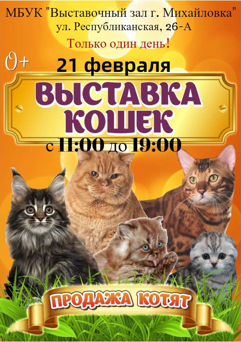 Только один день! Выставка кошек!